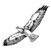 rawpixel-hawk-soaring-bws.webp